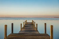 Steiger aan het Veluwemeer: winters plaatje