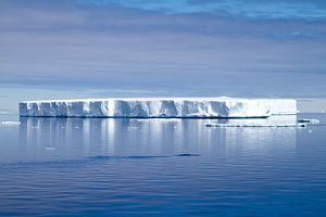 Iceberg sur Angelika Stern