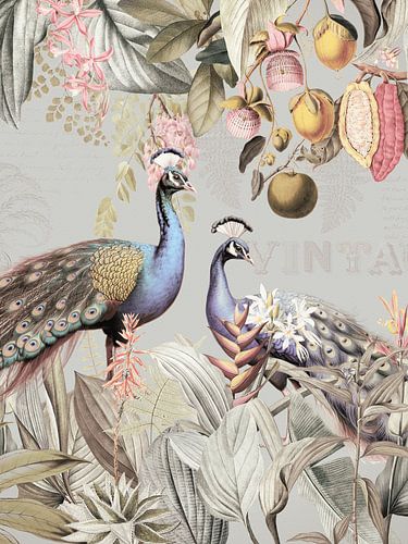 Paons bleus exotiques au paradis 2