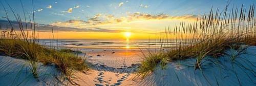 Lumière des dunes de la mer du Nord