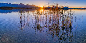 Sonnenuntergang am Hopfensee