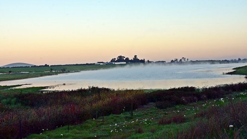 Morning mist over the farm pond by Werner Lehmann