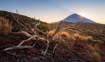 Zonsondergang bij de El Teide op Tenerife van Marloes ten Brinke