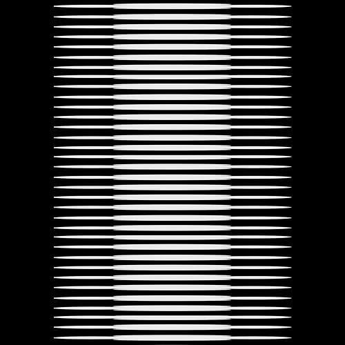 Japanse kunst in zwart-wit