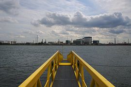 In den Fluss von Elisa Sánchez Correa