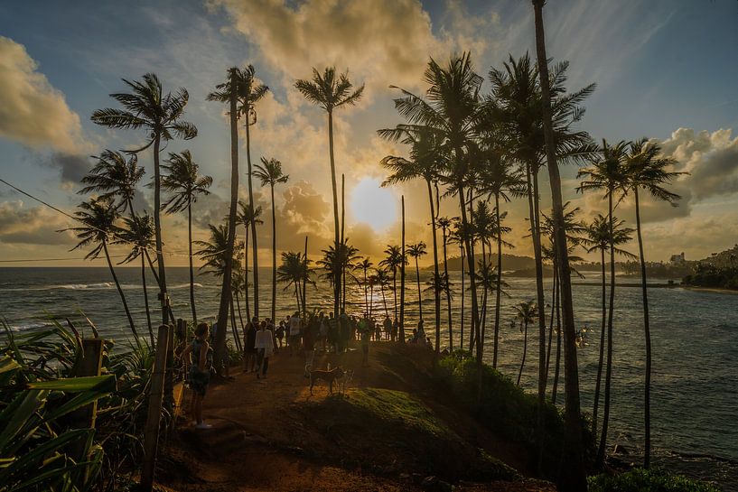 Coucher de soleil sur la colline de Coconut Tree à Mirissa, Sri Lanka par Patrick Fotografeert