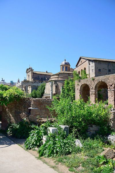 Spaziergang auf der Via Sacra von Frank's Awesome Travels