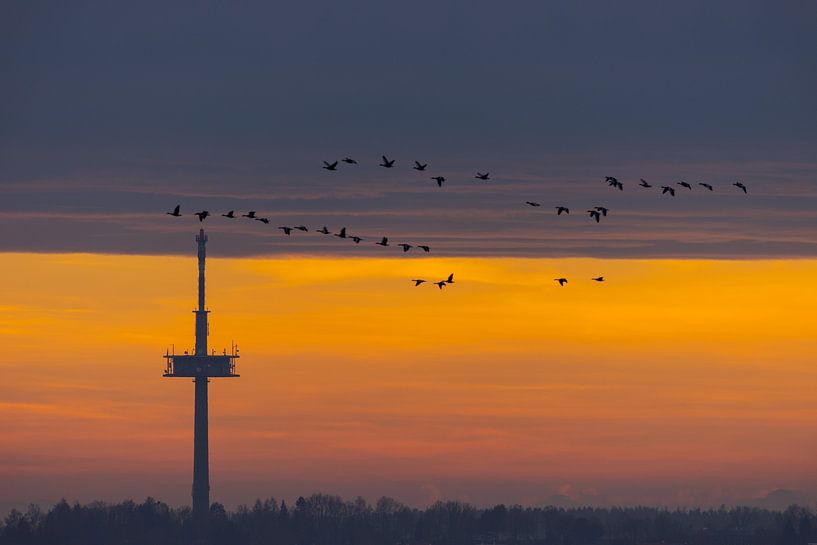 Television and radio broadcast tower on hill over the city of Regensburg with flying swarm of birds  by Robert Ruidl