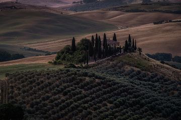 Toscane van Mario Calma