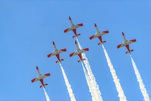 Patrulla Águila der spanischen Luftwaffe im Einsatz.