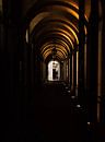 Depth by MCreations MCreations thumbnail