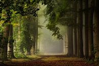 Welcoming Autumn. by Inge Bovens thumbnail
