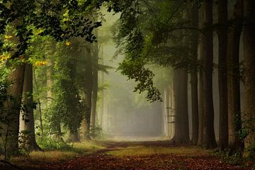 Welcoming Autumn. by Inge Bovens