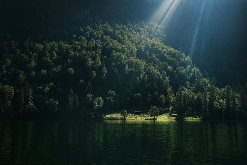 Das letzte Sonnenlicht von Bram Busink