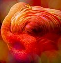 Flamingo, Asleep par Marja van den Hurk Aperçu