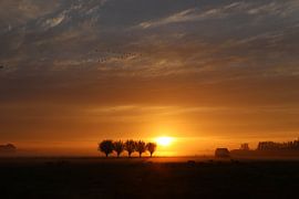 Zonsopkomst by t de bruin