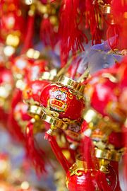 Die Souvenirs aus Nanjing, Jiangsu, China von Guido van Veen