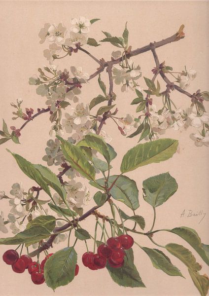 Watercolor of a cherry tree branch, Alice Bailly by Masterful Masters