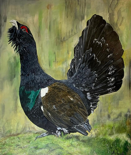 Auerhahn