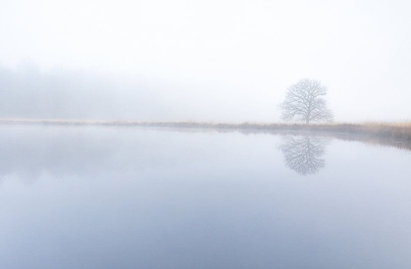 Nebliger Morgen Duurswouderheide - Friesland (Niederlande) von Marcel Kerdijk