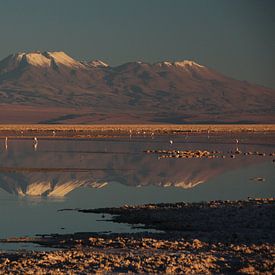 Weerspiegeling van bergtoppen van de Andes in een met water bedekt zoutmeer in Chili van A. Hendriks