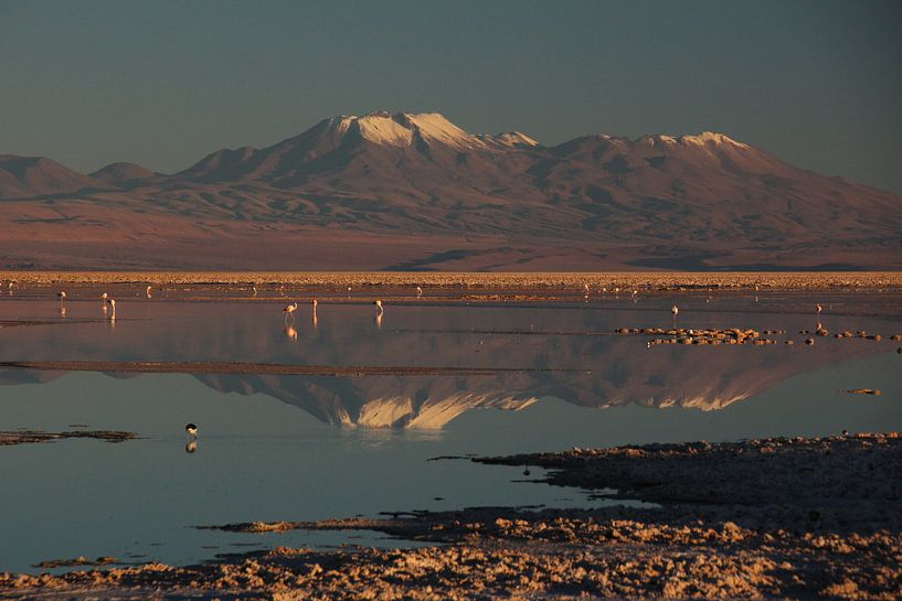 Weerspiegeling van bergtoppen van de Andes in een met water bedekt zoutmeer in Chili van A. Hendriks