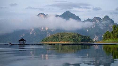The view of an early morning wake up call