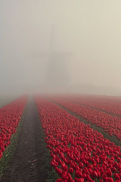 Obdam mill in the mist by peterheinspictures