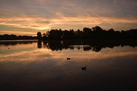 Ochtend aan het water
