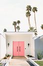 Palm Springs 3 by Kathrin Pienaar thumbnail