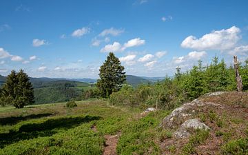 Landscape panorama in Sauerland by Alexander Ludwig
