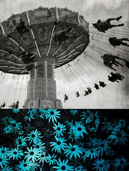 DAISY NIGHTS, VINTAGE FLIGHTS by db Waterman
