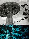 DAISY NIGHTS, VINTAGE FLIGHTS by db Waterman thumbnail