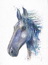 Fries paard in aquarel van Atelier DT thumbnail