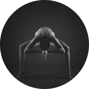 Zen, Patrick Odorizzi van 1x