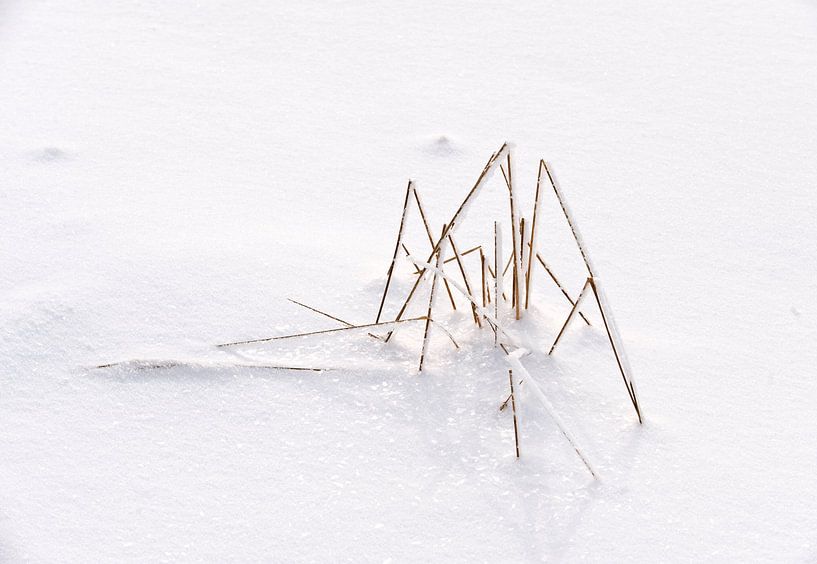 pijpenstrootjes in de sneeuw van George Burggraaff