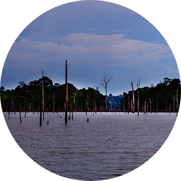 Het Brokopondomeer in Suriname van René Holtslag