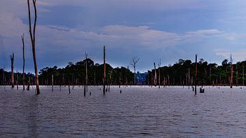 Het Brokopondomeer in Suriname van René Holtslag