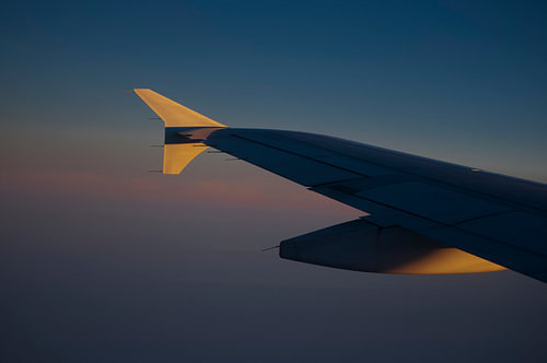 Wing