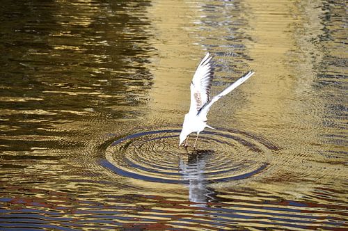 CERCLE D'EAU 2