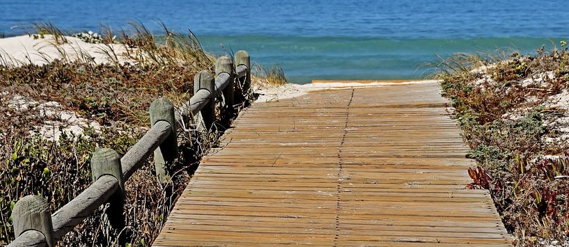 Chemin en bois vers la plage et la mer par Werner Lehmann