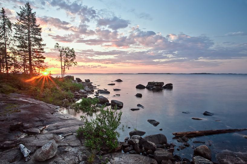 die Sonne scheint durch die Tannen in einer felsigen karelischen Bucht mit blau-rosa Wasser, Skandin von Michael Semenov
