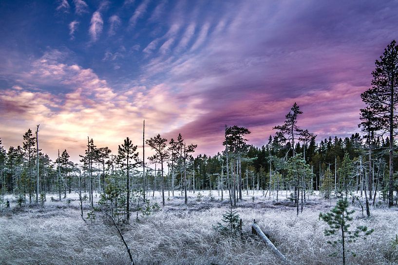 Colourful sunset in central Sweden by Ralf Köhnke