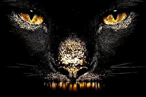 Zwarte kat met gouden details