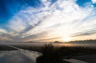 Zonsopgang in de herfst von Diana Kors Miniaturansicht