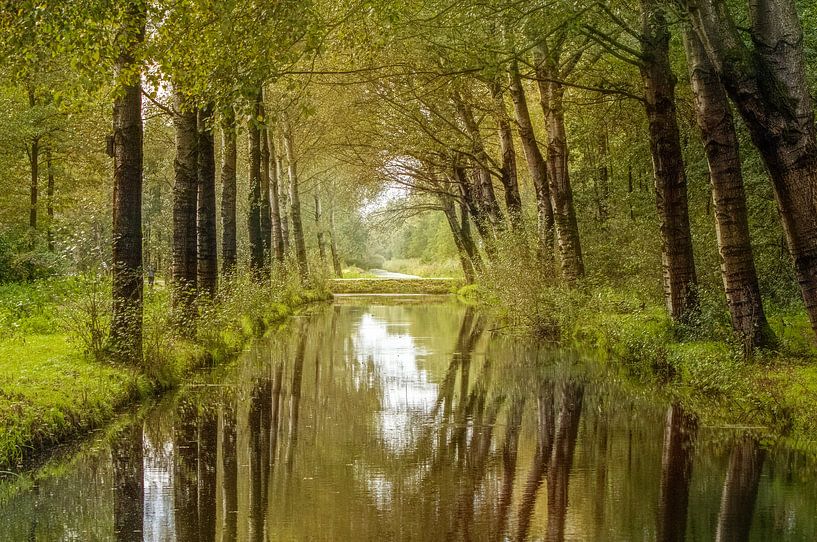 early autumn by Yvonne Blokland
