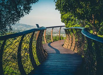 Kirstenbosch Garden Brug