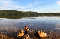 Lego puppet in natural landscape by Michel Knikker thumbnail