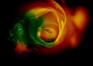 SUPERNOVA by Ted van den Aarssen thumbnail