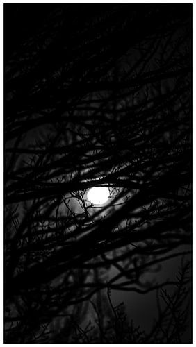 L'': een lichtpuntje in de nacht